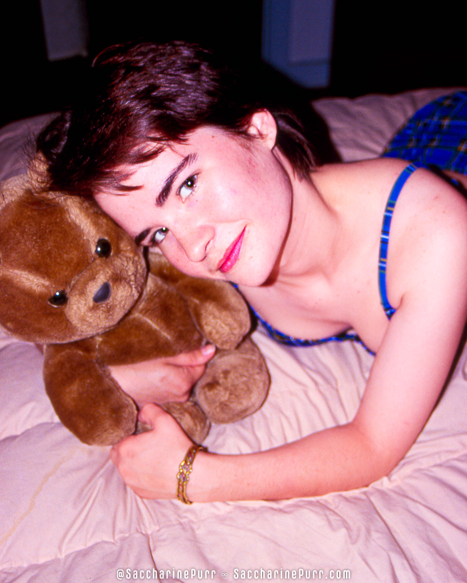 Book Nooks and Hamsters and Teddy Bears, Oh My! Throwback
